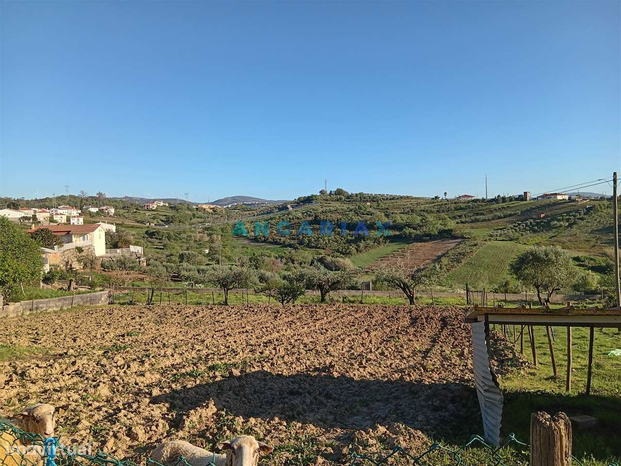 ANG1567 - Terreno para Venda em Batalha, Leiria - Grande imagem: 3/3