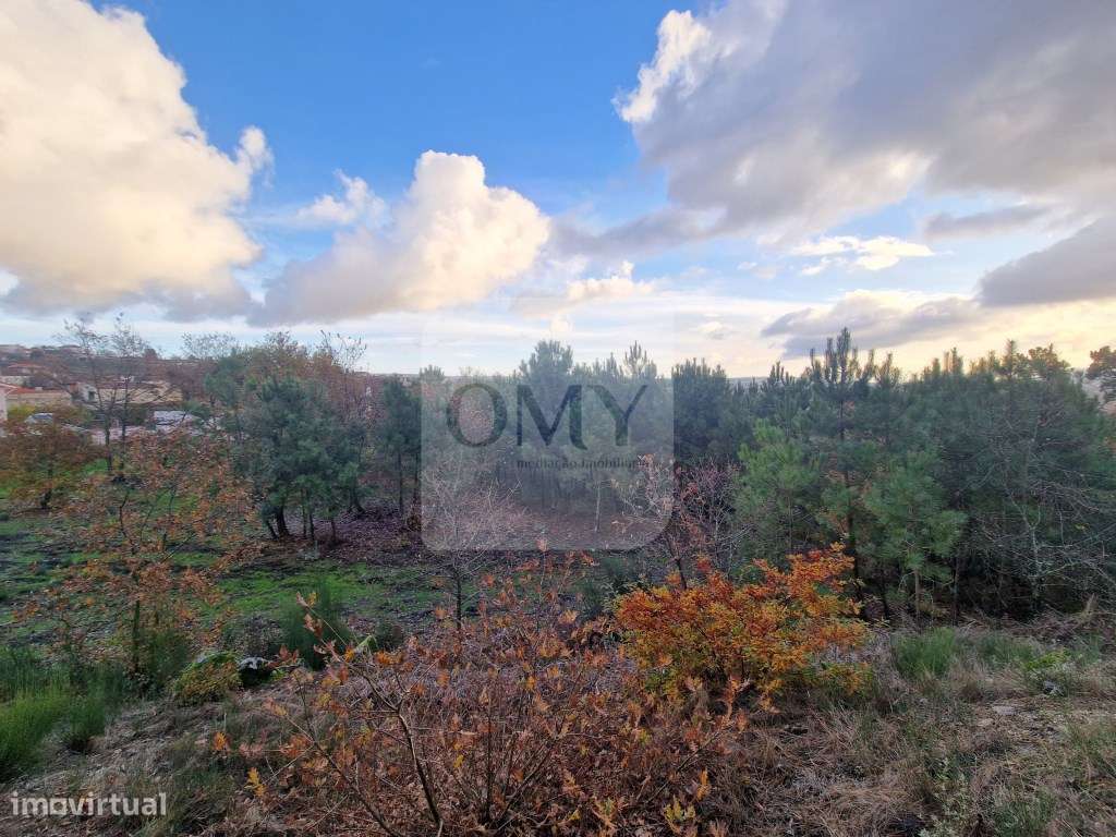 Terreno de 6.750 m2 em Adoufe, Vila Real - Grande imagem: 4/15