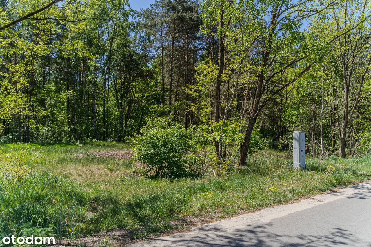 Wymiarowa, uzbrojona działka z warunkami zabudowy