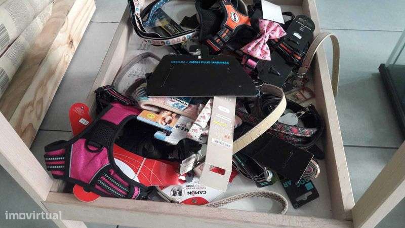 Trespasse loja grooming Guimarães - Grande imagem: 4/12