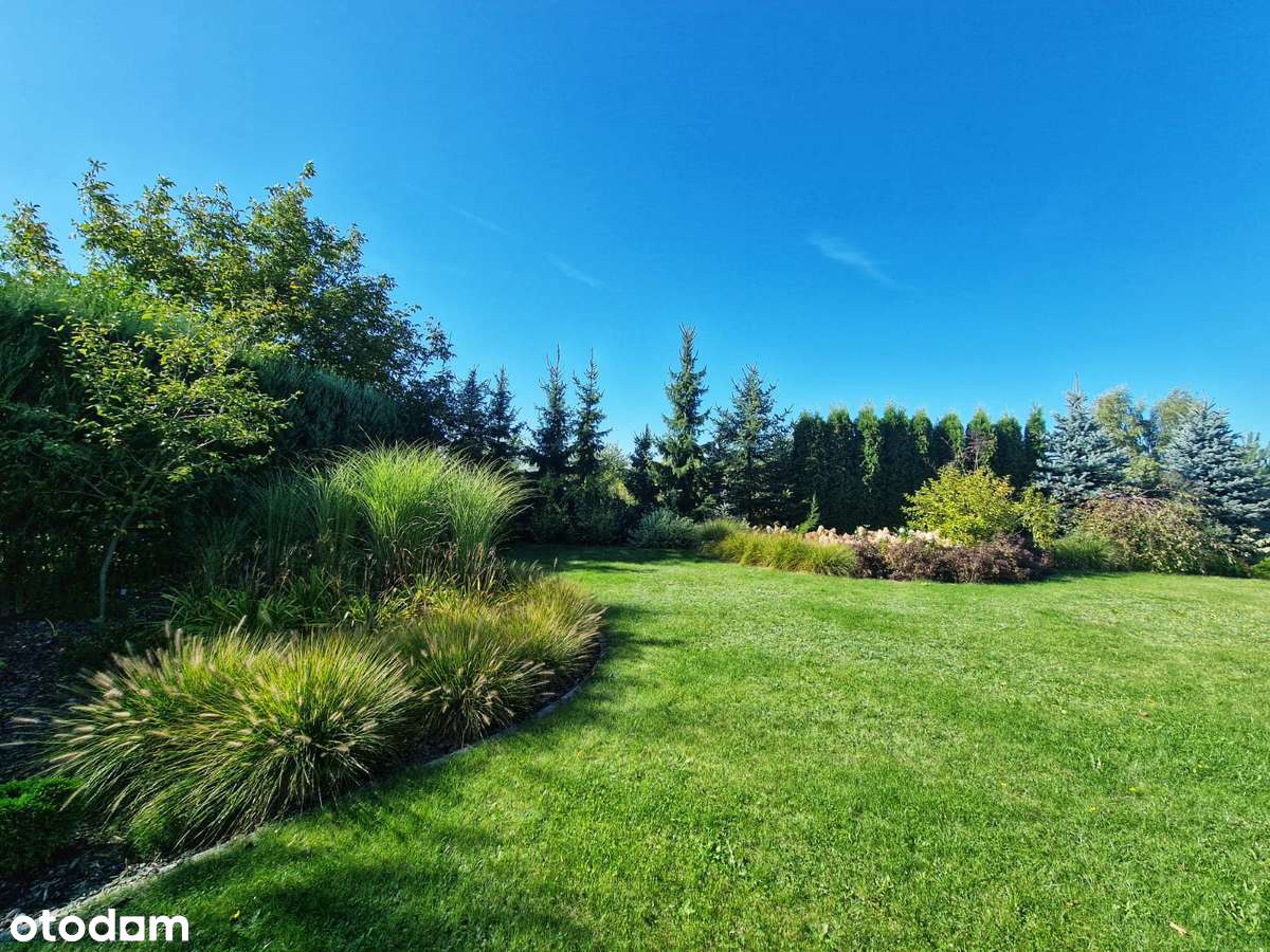 Energooszczędny dom wolnostojący z pompą ciepła i pięknym ogrodem - Pełny obrazek: 4/20