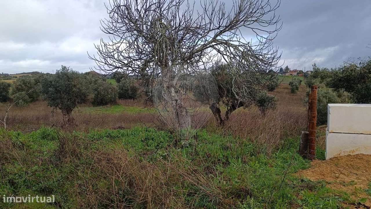 Terreno  para venda - Grande imagem: 5/5