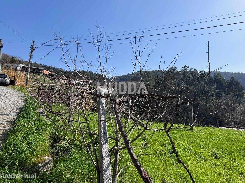 Exclusivo - Terreno urbanizável-11