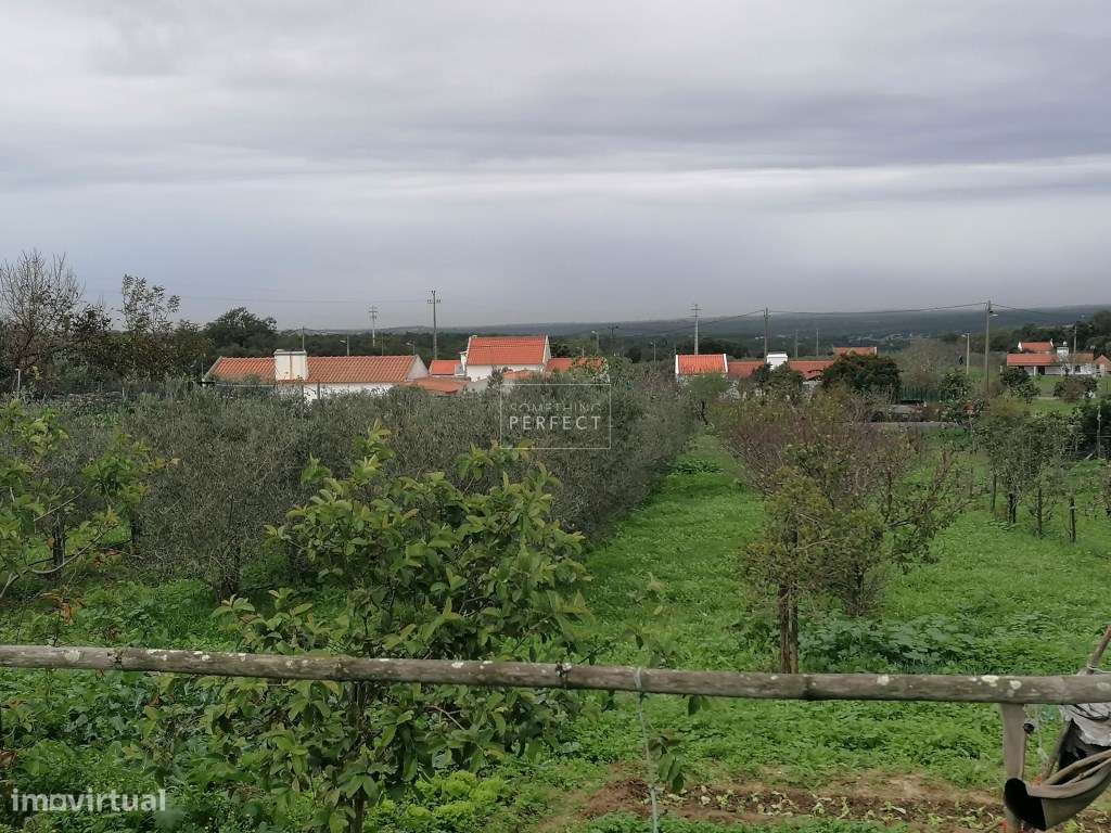 Terreno Misto com Vista Oceano - Grande imagem: 3/11