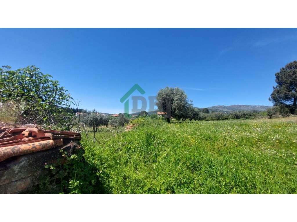 Fabulosa Quinta próxima da Ponte Pedrinha-9