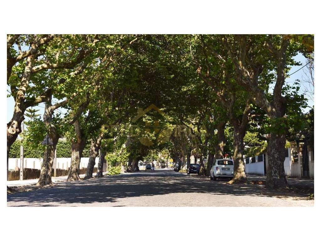 Terreno para Construção de moradia em Miramar-4