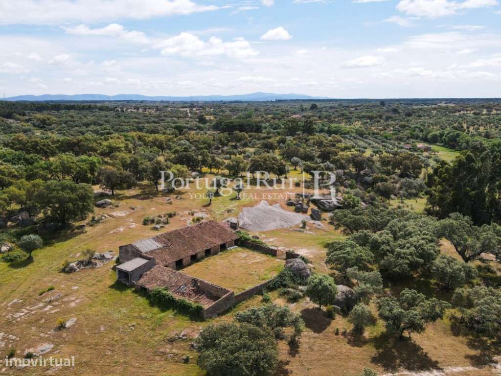 Herdade de 186 Hectares no Crato - Grande imagem: 4/52