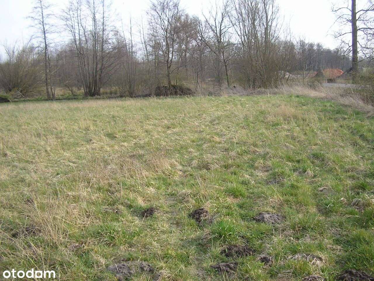 Budowlana, przy drodze asfaltowej, 16 km od morza - Pełny obrazek: 5/8