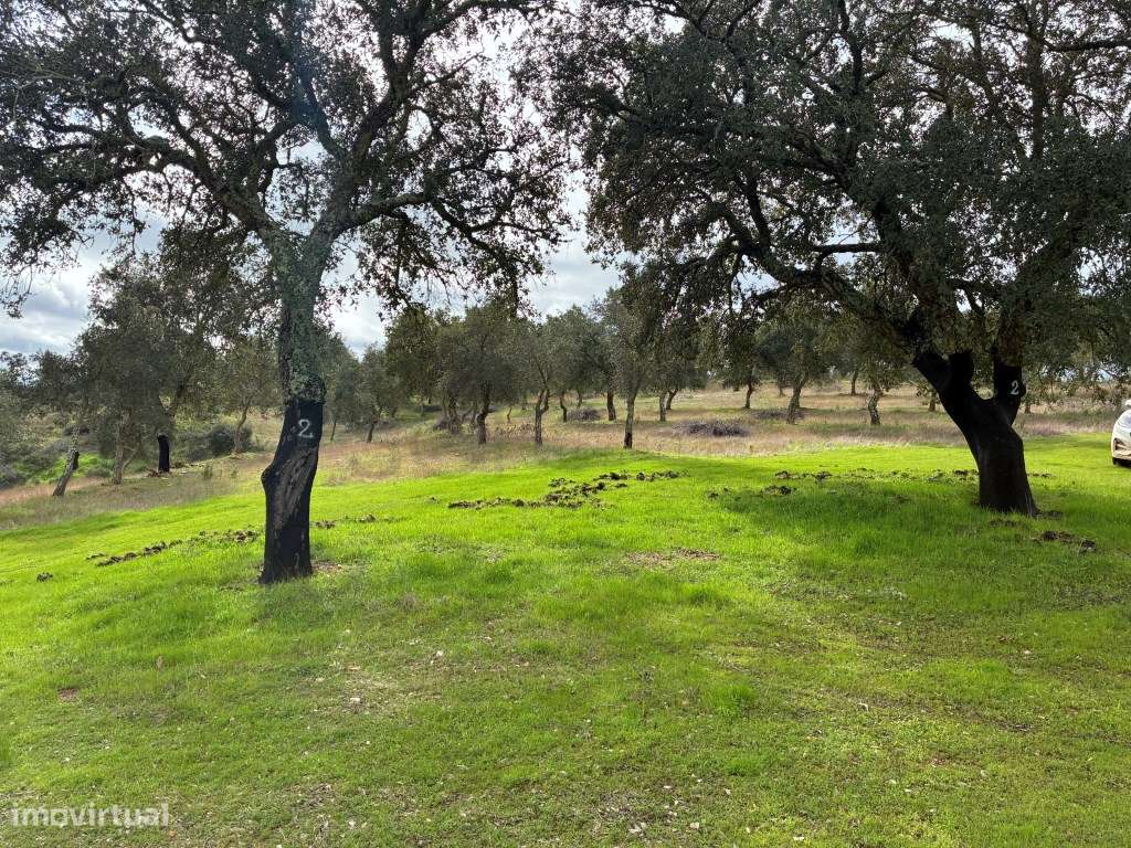 Quinta T2 em Serpa | Vista para a barragem-29