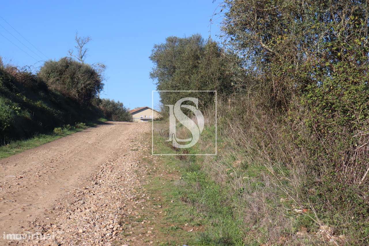 Terreno  Venda em Abrantes (São Vicente e São João) e Alferrarede,Abra - Grande imagem: 4/22