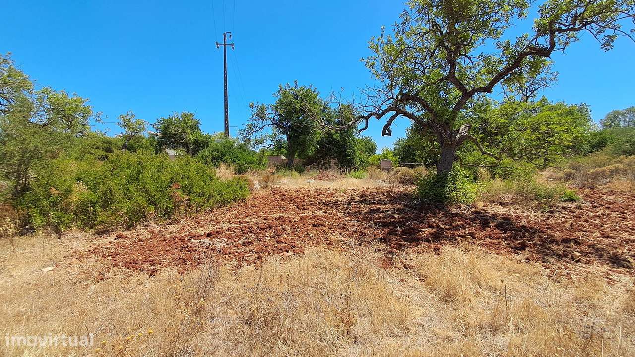 Terreno com 9.135 m² em Boliqueime-23