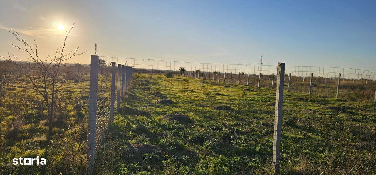 Veterani , 2 loturi cu deschidere la 2 strazi-2