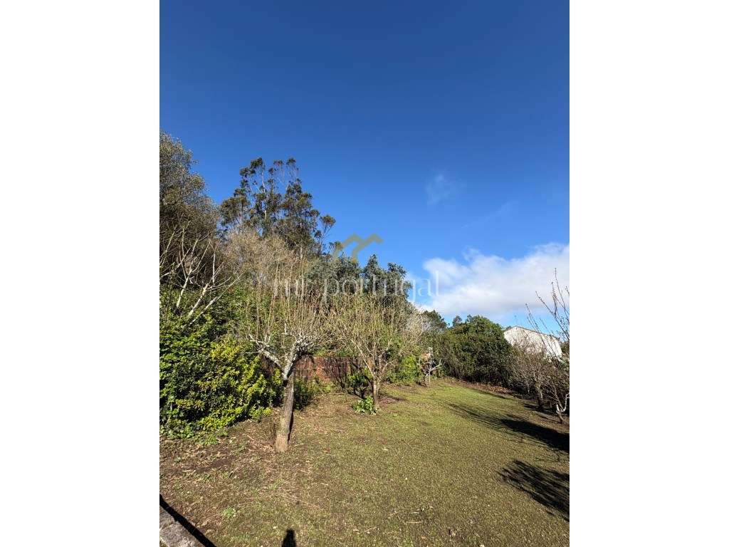 Quintinha em Mafra com 5.375m² | Moradia T2 + Potencial de Construç...-10