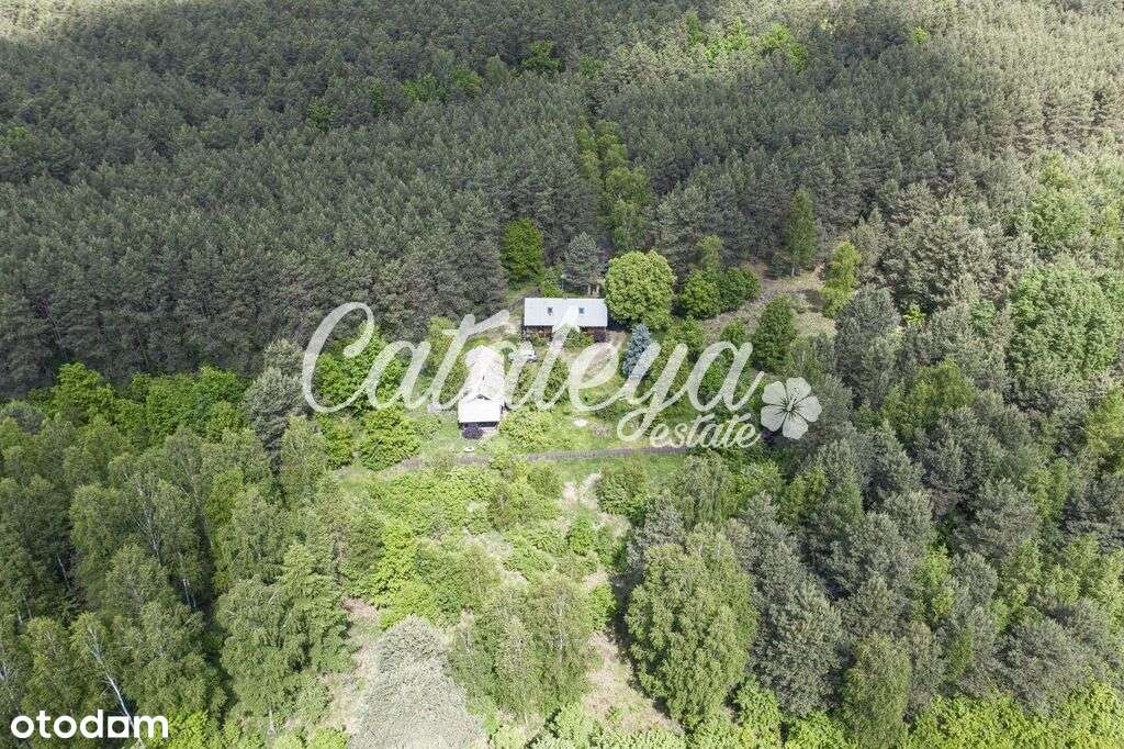 Siedliskowa/ blisko pola golfowego/ - Pełny obrazek: 4/20