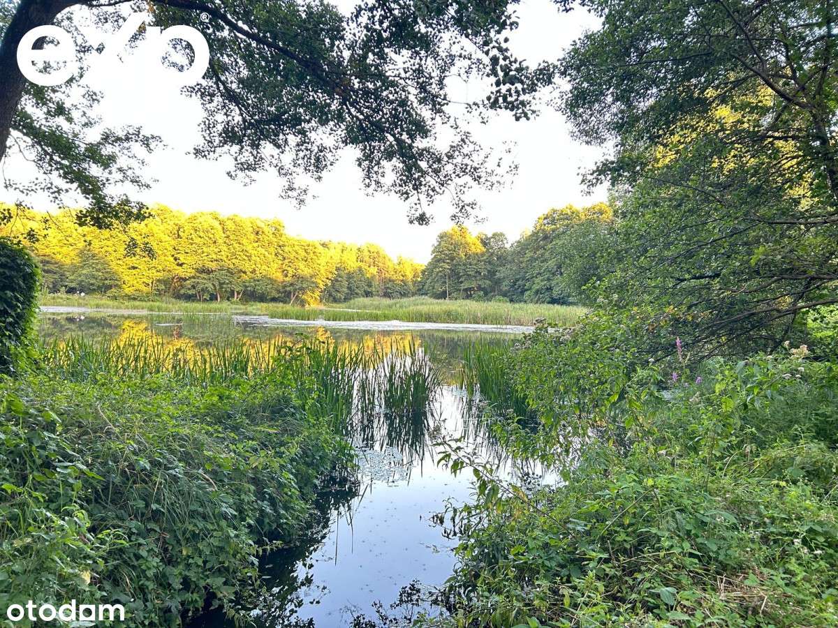 Młyn w Baryczy z domem nad rzeką Grabią - Pełny obrazek: 5/20