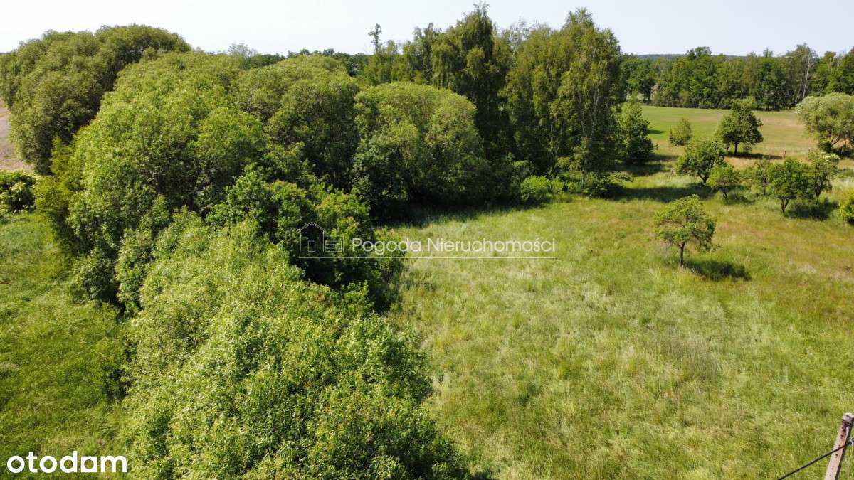 Działka budowla z małym stawem-6