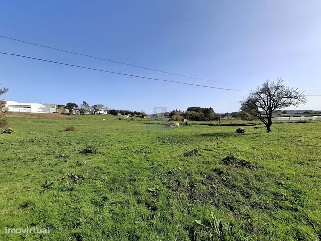 Terreno urbano com 15.867 m2 em Cela, Alcobaça,  e ruína de 336,30 m2-8
