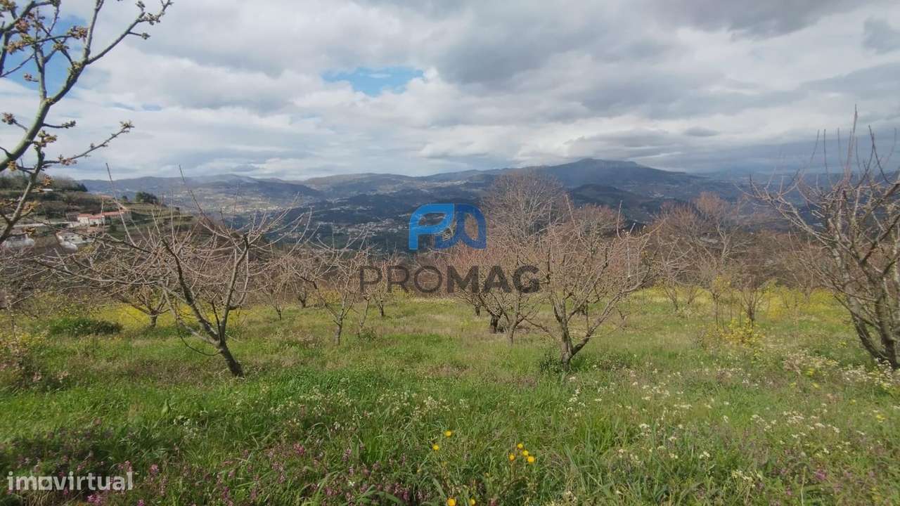 Terreno Urbanizável de 7959 m² com Armazém-25