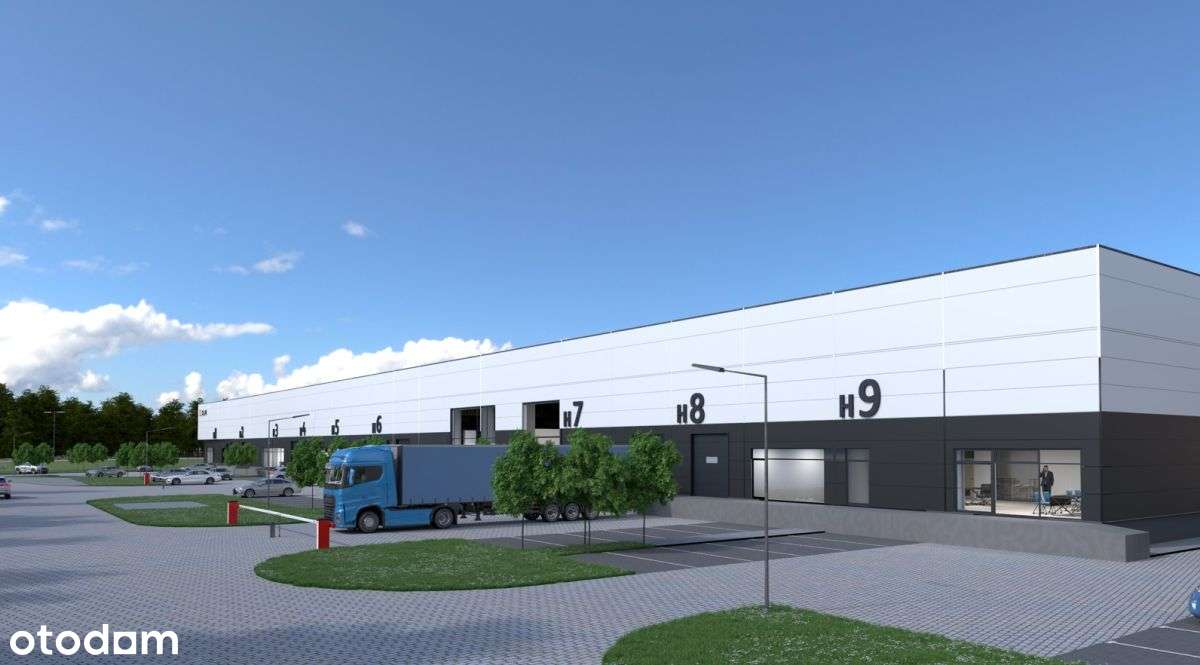 Hala,magazyn - Pełny obrazek: 3/11