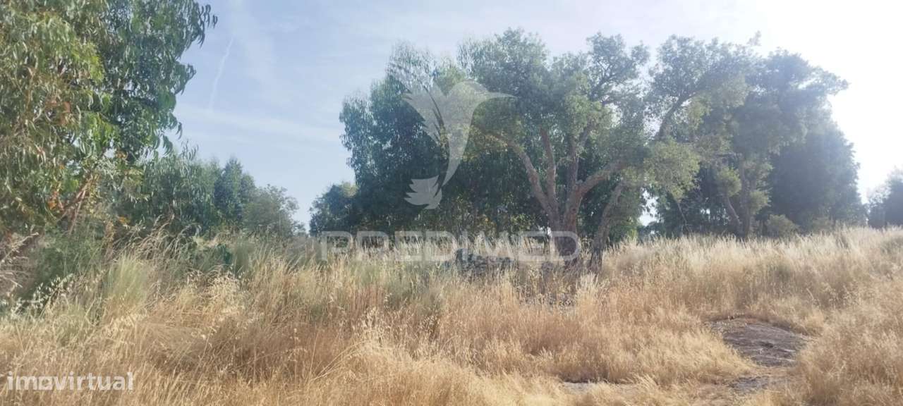 Terreno agricola /construção - Grande imagem: 3/5