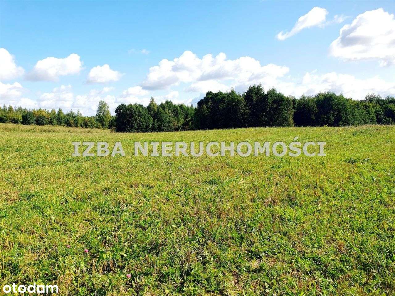 Działka, 88 000 m², Czaple-9