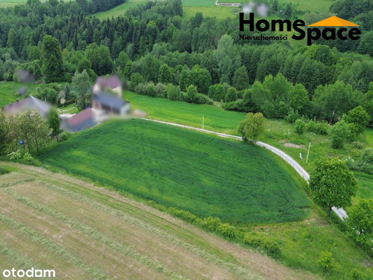 Działka na sprzedaż Brzeziny, gm. Wielopole Skrzyńskie - Pełny obrazek: 5/7