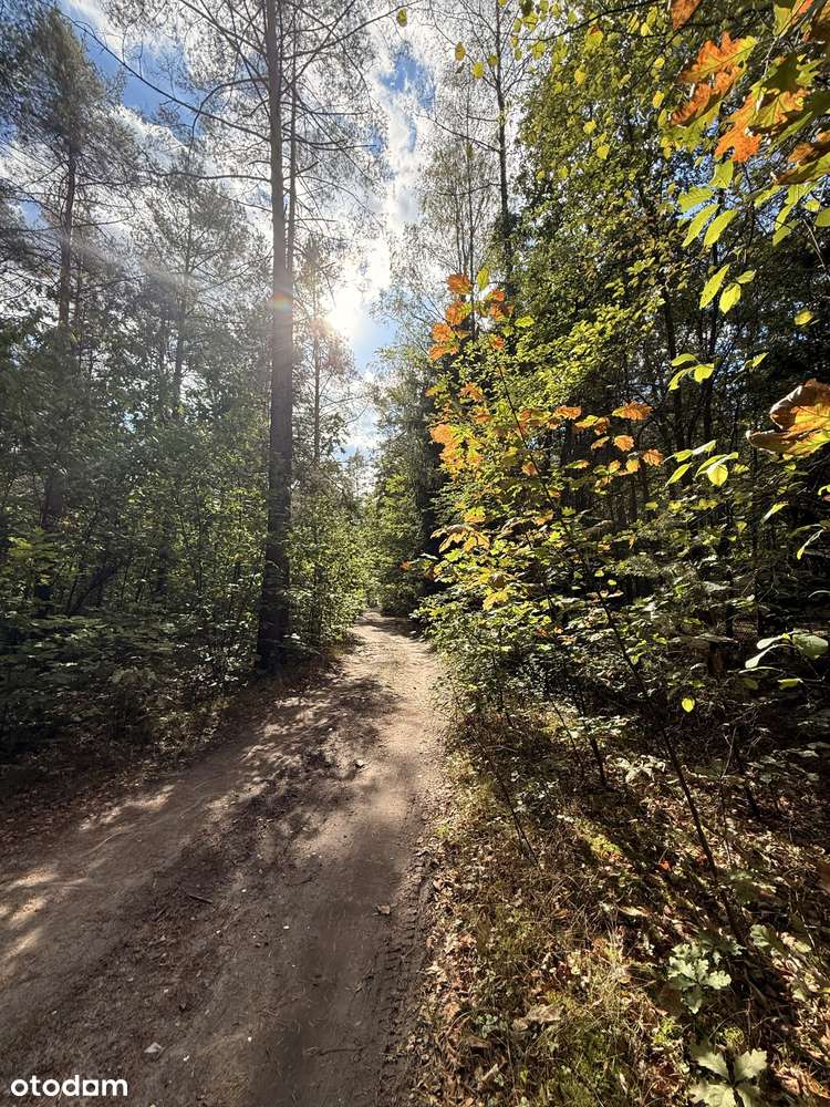 urokliwa działka na sprzedaż, Zawodne gmina Prażmów-1