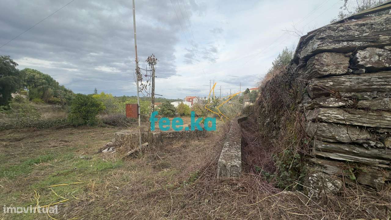 Quintinha-9