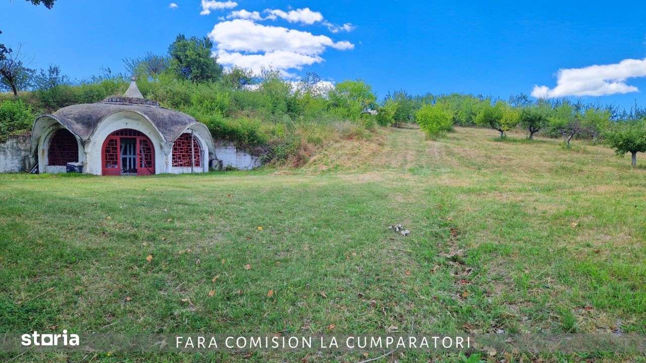 CRAMA - Oportunitate Unica in Domeniul Viticol-5