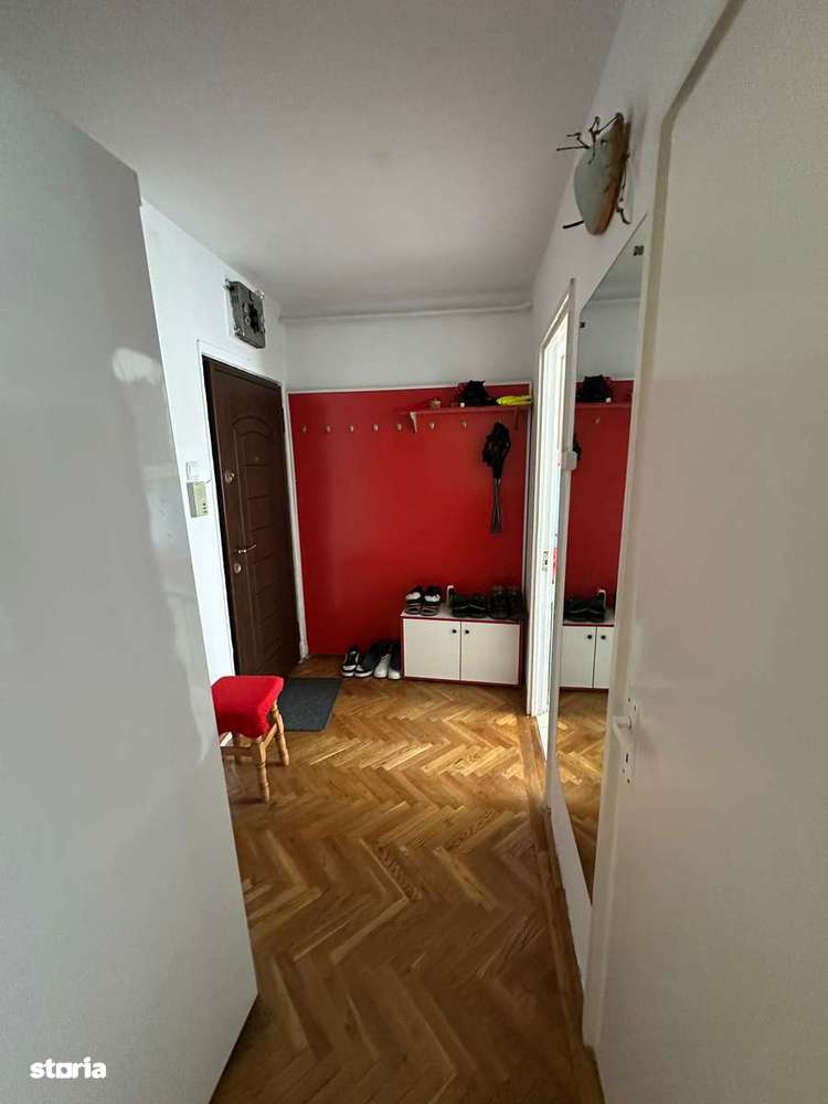 Reprezentare exclusiva apartament 2 camere Gemenii-1