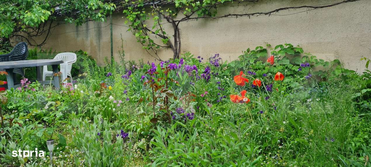 Oportunitate! Casa Bod pe un singur nivel, teren 980 mp pivnita, garaj - Imagine principală: 5/19