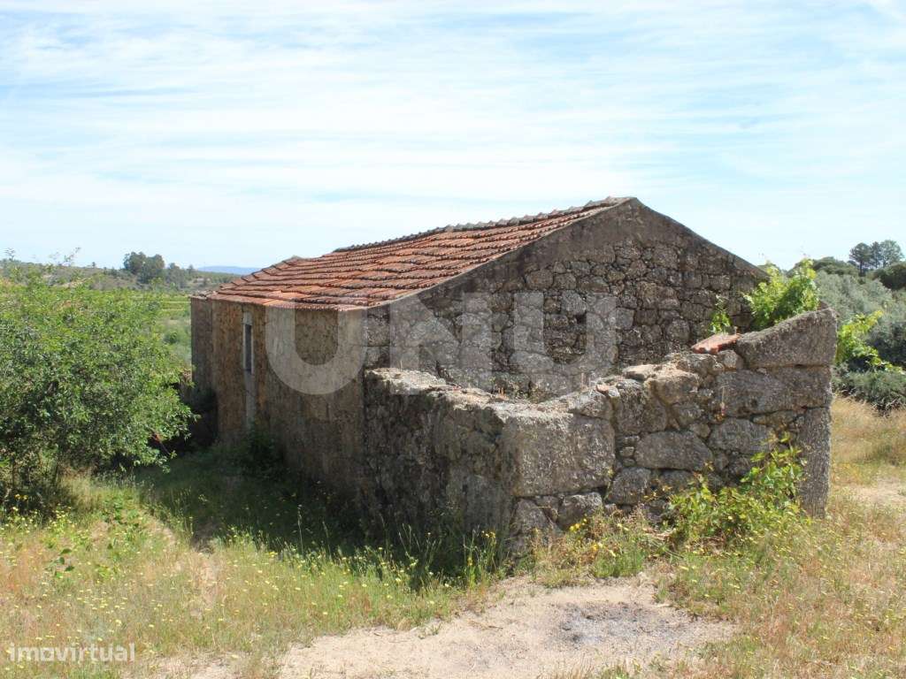 Quinta com 2,5 hectares - Grande imagem: 5/48