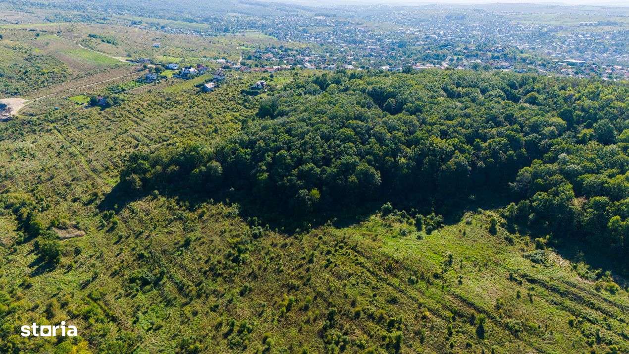 Vanzare Teren Intravilan 11.3 Ha Bucium PUZ+CU valabil Case D+P+E+M - Imagine principală: 5/6