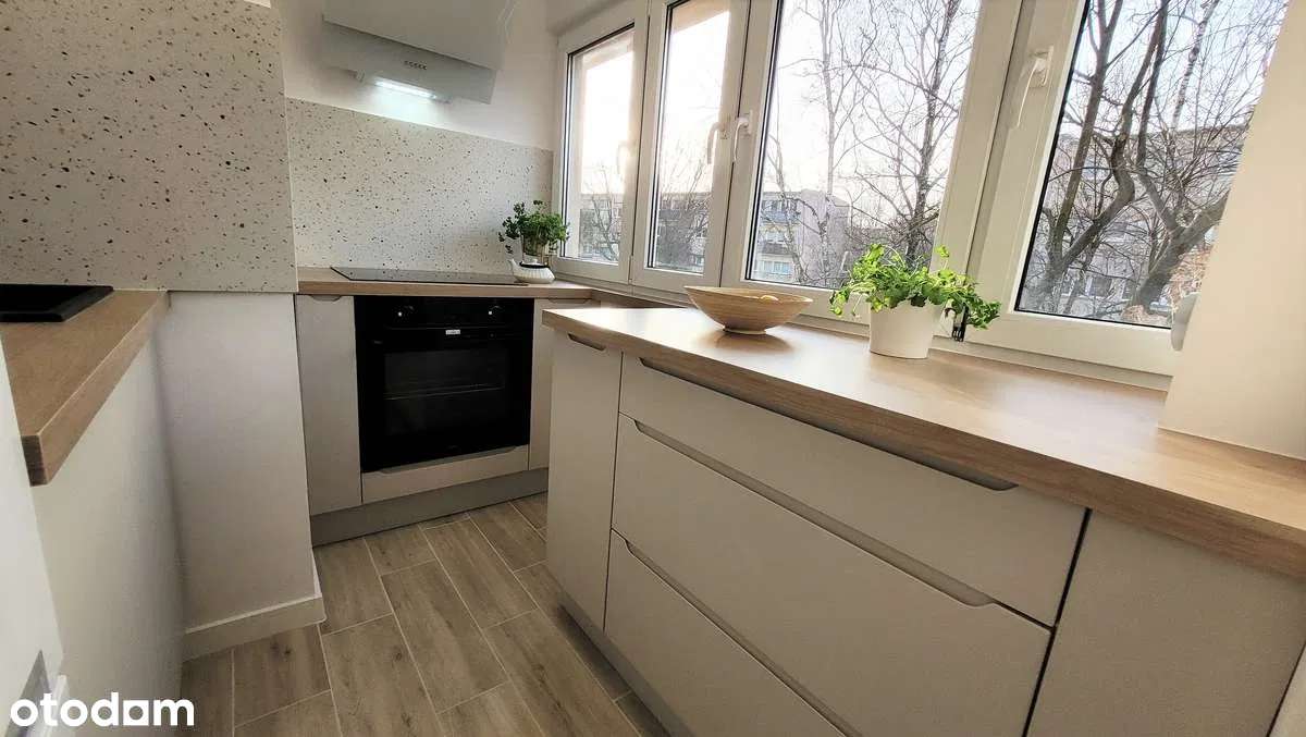 W pełni funkcjonalne 2 pokoje z kuchnią dla singla, pary lub studenta - Pełny obrazek: 4/5