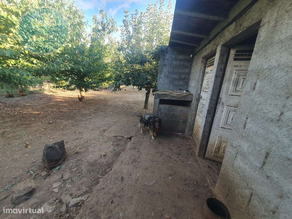 Quintinha à venda- Arco de Baúlhe-19