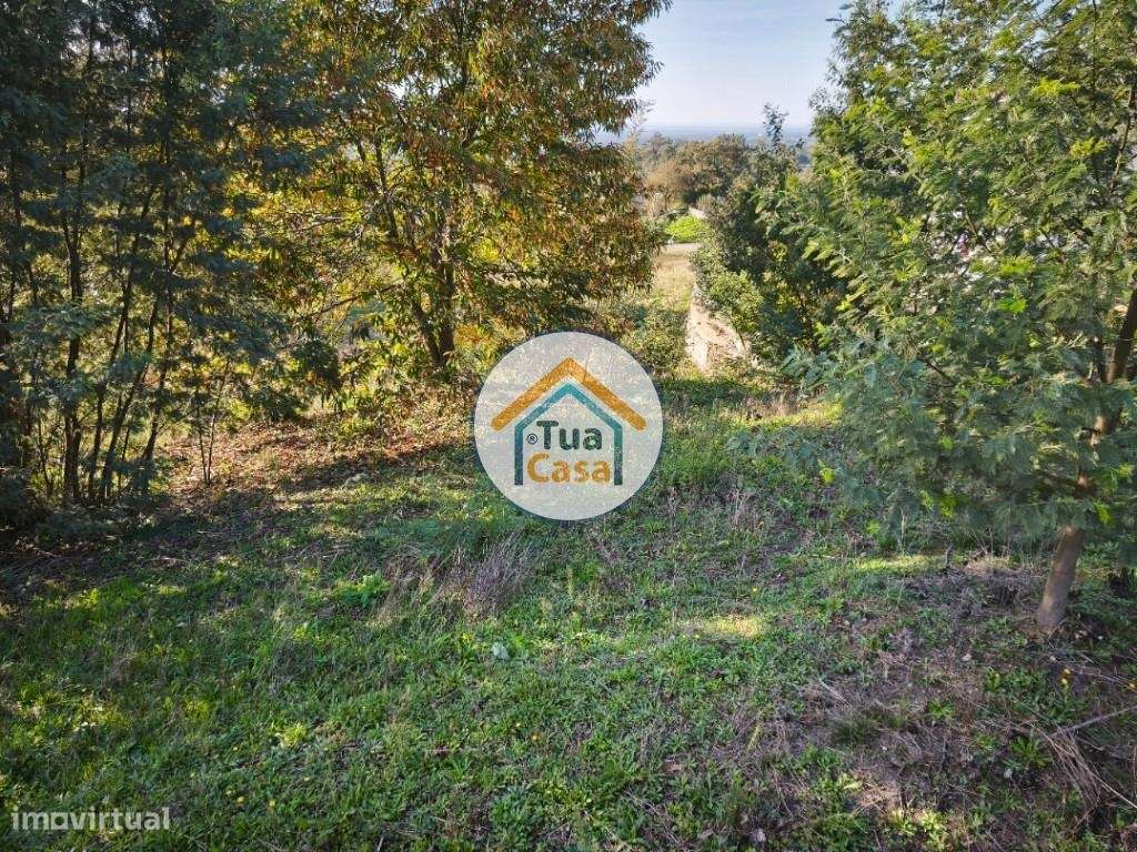 Terreno Urbano à Venda em Alviães - Palmaz, Oliveira de Azeméis - Grande imagem: 3/18