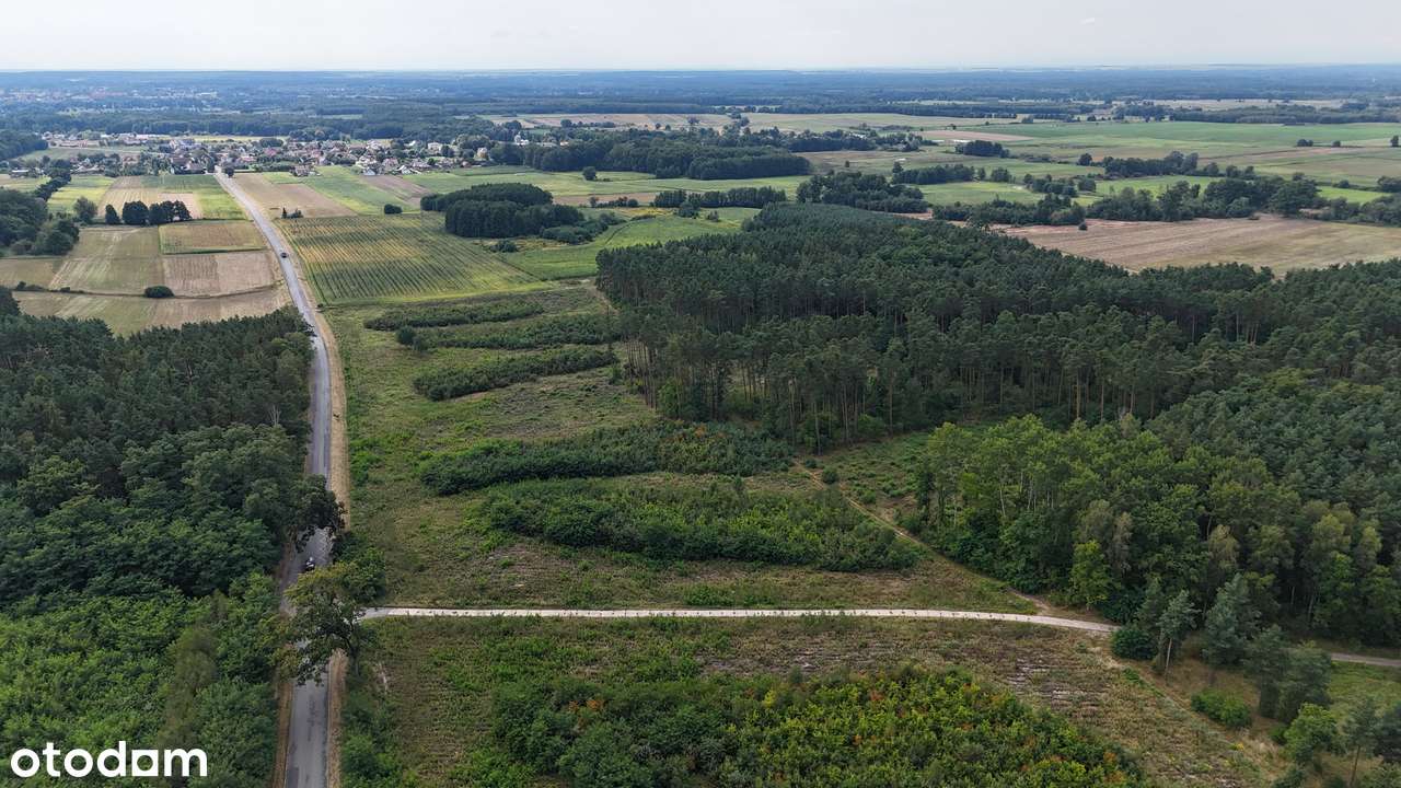 Kompleks działek rekreacyjnych w środku lasu | od 500 m2-7