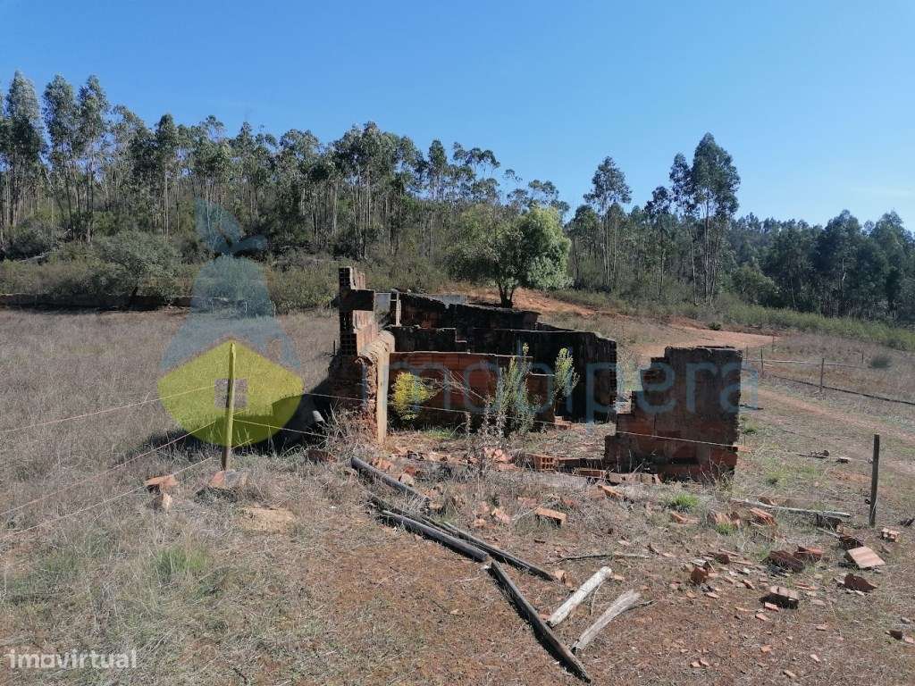 Casa para recuperar com vários terrenos.
House to recover with sev... - Grande imagem: 5/32