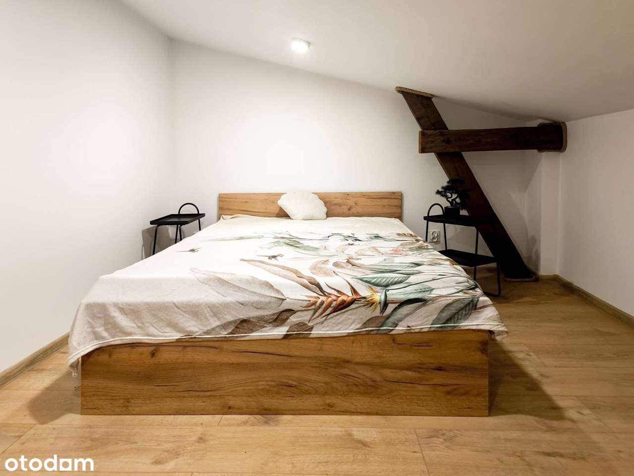 Po remoncie! do zamieszkania KATOWICE PARK ŚLĄSKI-6