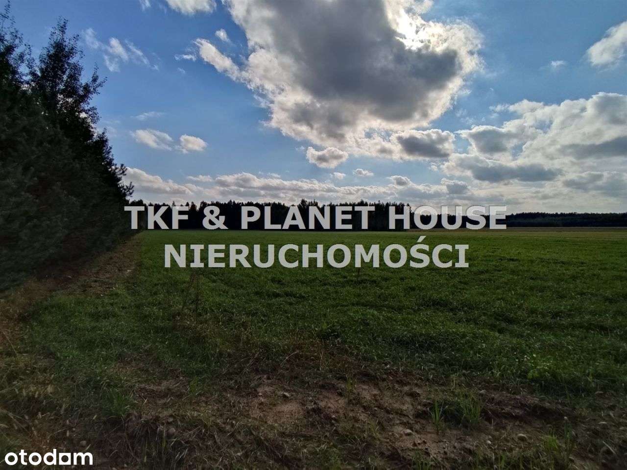 Działka rolna na sprzedaz 1,2 ha Sielec/Opoczno - Pełny obrazek: 4/6