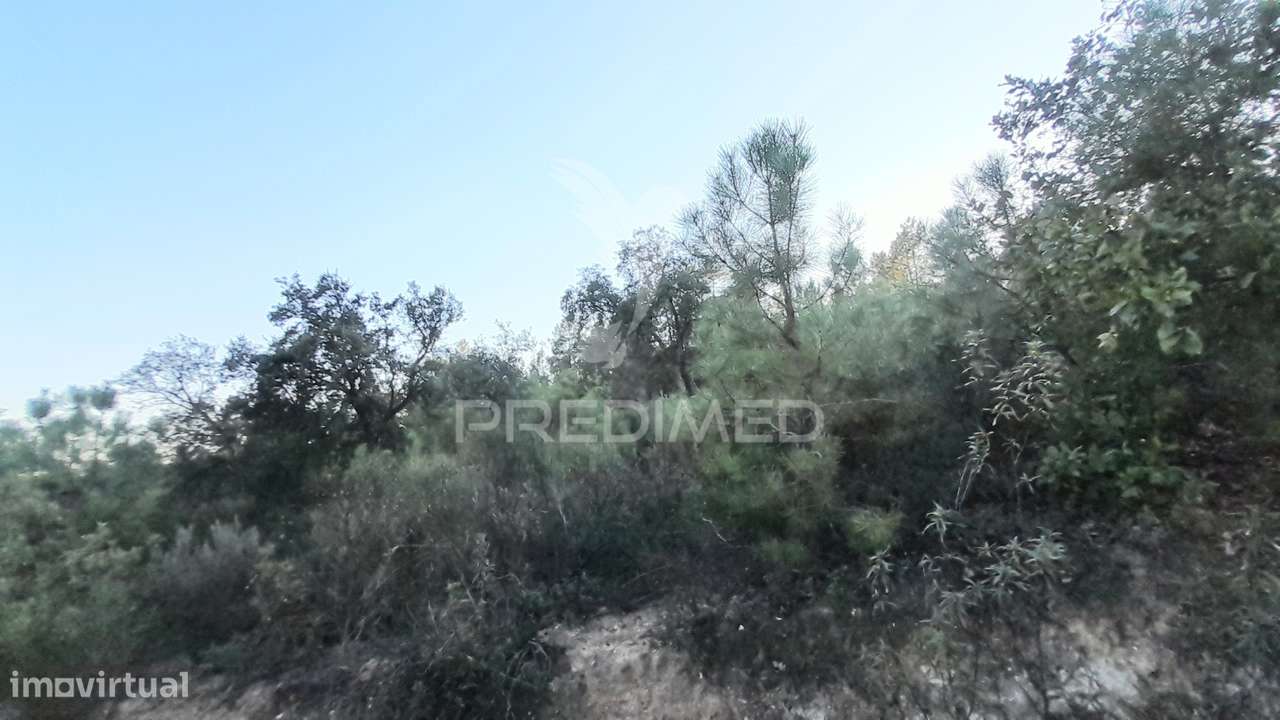 Terreno em Sarzedas - Grande imagem: 2/7