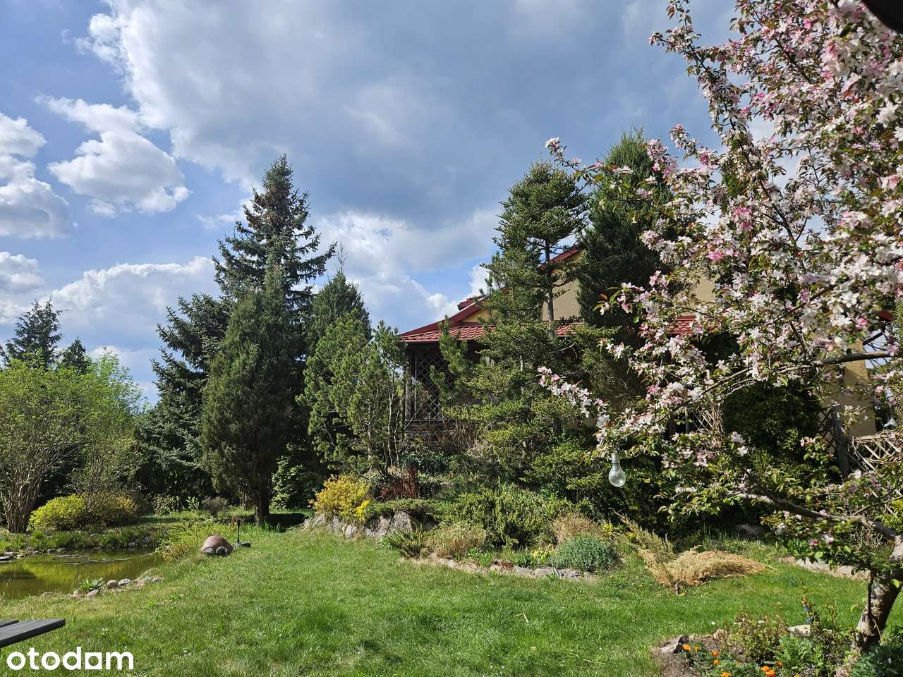 Urokliwa nieruchomość w gminie Radziejowice-6