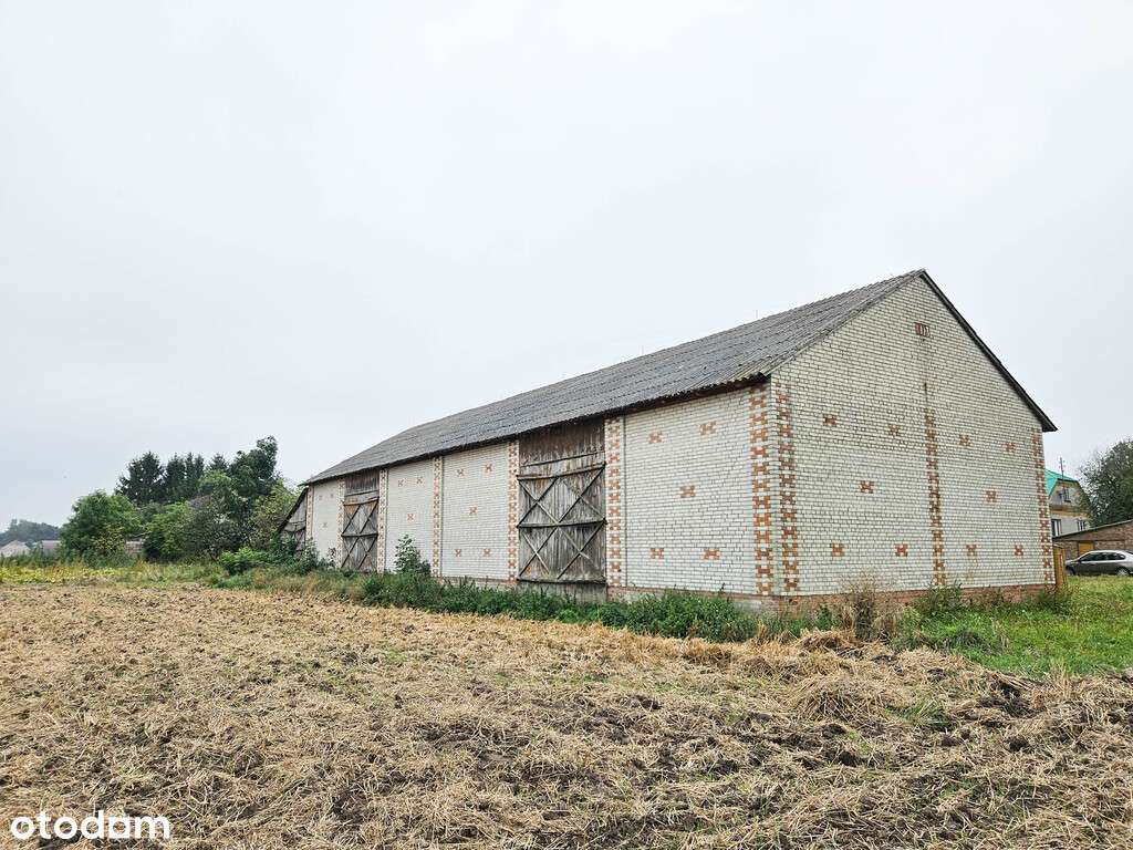 Malownicze Siedlisko, rzeka, las, Zalew Nielisz-13