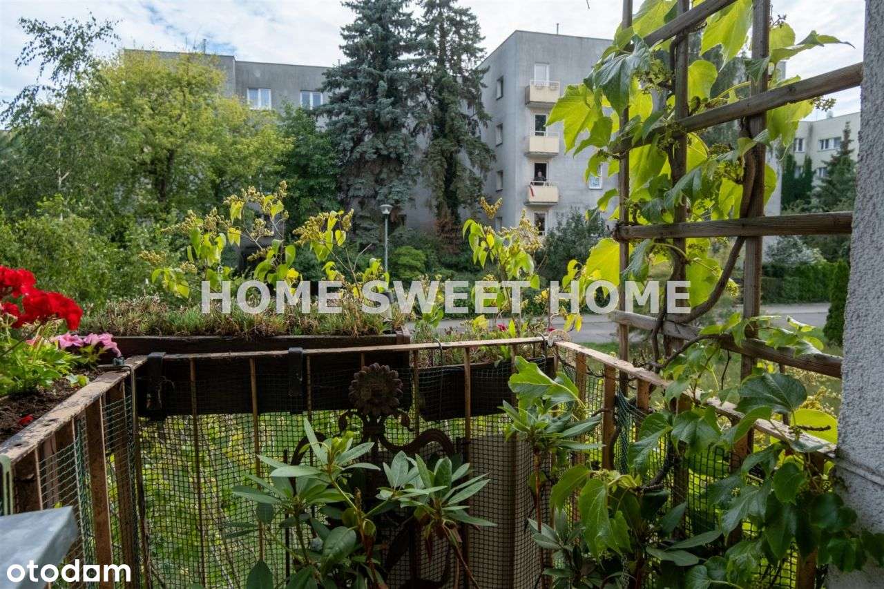 Trzy pokoje, Sady Żoliborskie, Okazja-10