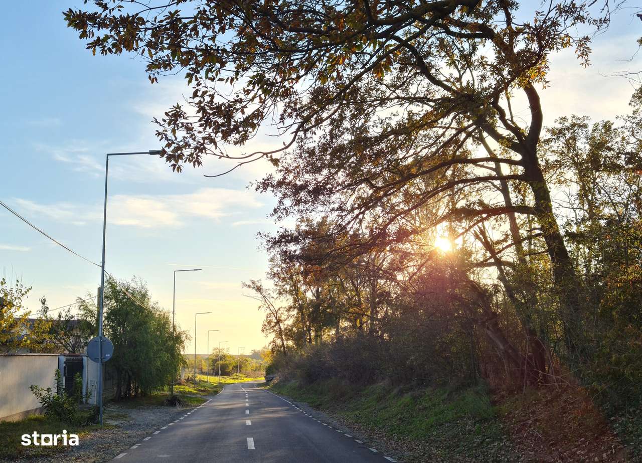 Teren intravilan Branesti, in apropiere de padure si lac-1