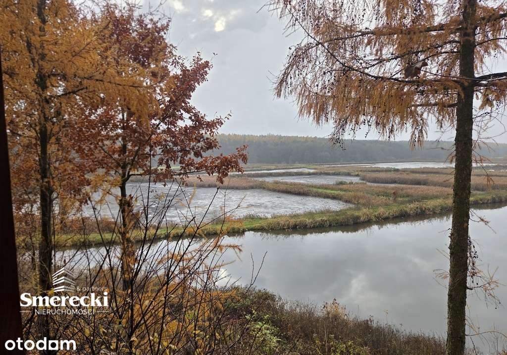 Gotowe stawy hodowlane - Pełny obrazek: 2/4