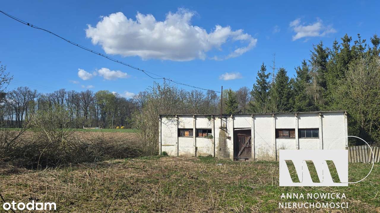 Stanica / Konary – ponad 50 arów spokoju i możliwości-4