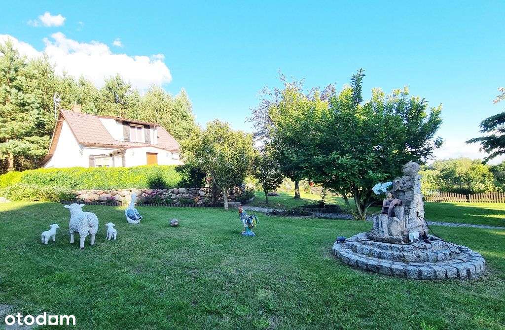 Dom całoroczny z dużą działką - 3 838 m2-9