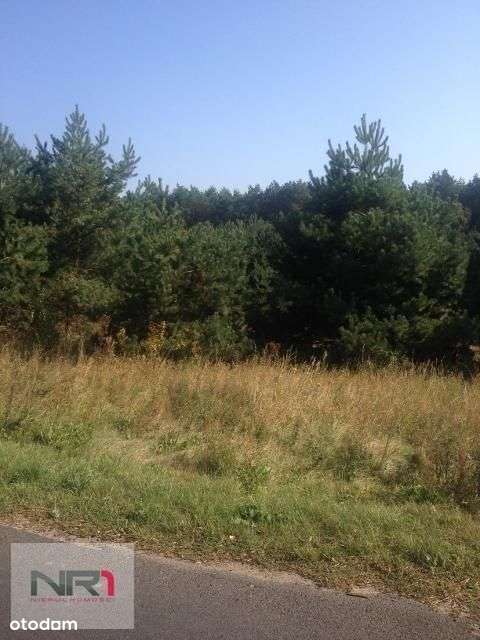 Działka przy drodze asfaltowej. - Pełny obrazek: 4/8