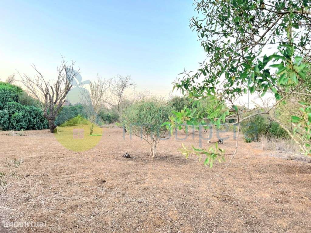 Terreno plano em zona rural, em Algoz, para agricultura e afins. - Grande imagem: 4/12